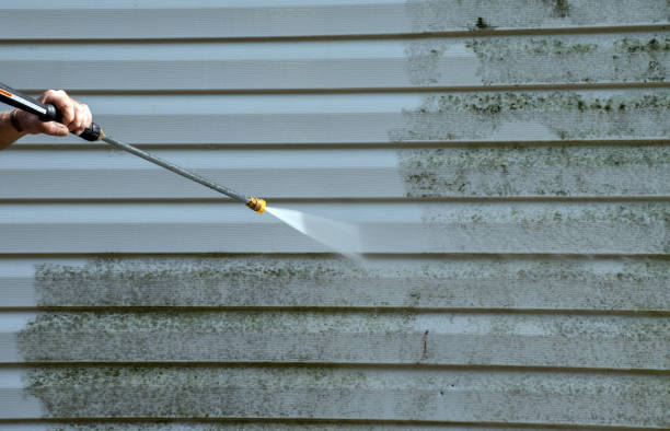 Professional Mold Removal in Roosevelt, UT