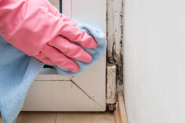 Best Mold Testing  in Roosevelt, UT